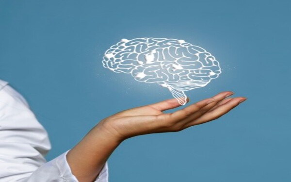 Neuroventas. El Cerebro Comprador Dirigido a<br><br> Profesionales que quiera mejorar sus habilidades comerciales, poniendo especial 茅nfasis en personal relacionado con la comunicaci贸n, atenci贸n al cliente, ventas o marketing.<br><br> Descripci贸n<br><br> Con este contenido de curso profesional el alumno aprender谩 los beneficios de las Neuroventas, abarcando aspectos relacionados con el valor simb贸lico de la venta y la conexi贸n con el comprador, as铆 como las claves en la estrategia de venta y la venta exitosa.<br><br> COMPETENCIAS<br><br>1.Entender que son las Neuroventas para aprovechar al m谩ximo sus beneficios.<br> 2.Aprender y descubrir el valor simb贸lico de una venta para hacer ventas emocionales y darle al cliente el verdadero motivo para comprarte.<br> 3.Descubrir el c贸digo para llegar al cerebro reptiliano de tu cliente para lograr que te vean y te recuerden.<br> 4.Descubrir 11 claves que no pueden faltar en tu estrategia de ventas para tener una alta probabilidad de cierre.<br><br> CRITERIOS DE EVALUACI脫N (Objetivos)<br><br> 1.Entender que son las Neuroventas y porque es importante dominarlas.<br> 2.Entender c贸mo descubrir el valor simb贸lico de un producto o servicio.<br> 3.Conocer los tres c贸digos de tu producto o servicio.<br> 4.Aplicar estas tres pir谩mides para tener una comunicaci贸n m谩s productiva y ser capaz de adaptarte a cualquier situaci贸n y vender.