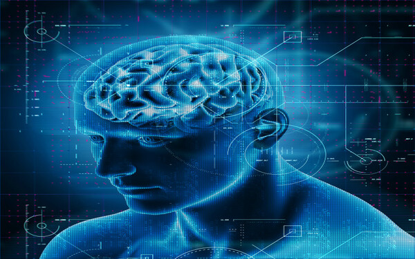 Neuro Secretos para Aumentar las Ventas Dirigido a<br><br> Profesionales que quiera mejorar sus habilidades comerciales, poniendo especial 茅nfasis en personal relacionado con la comunicaci贸n, atenci贸n al cliente, ventas o marketing.<br><br> Descripci贸n<br><br> Con este contenido de curso profesional el alumno aprender谩 qu茅 son los gatillos mentales y neuro-tips para vender cualquier producto o servicio, as铆 como a usarlos en sus estrategias de venta para que sean efectivas.<br><br> COMPETENCIAS<br><br> 1.Descubrir el c贸digo para llegar al cerebro reptiliano de tu cliente para lograr que te vean y te recuerden.<br> 2.Descubrir 11 claves que no pueden faltar en tu estrategia de ventas para tener una alta probabilidad de cierre.<br><br> CRITERIOS DE EVALUACI脫N (Objetivos)<br><br>1.Conocer los tres c贸digos de tu producto o servicio.<br> 2.Aplicar estas tres pir谩mides para tener una comunicaci贸n m谩s productiva y ser capaz de adaptarte a cualquier situaci贸n y vender.